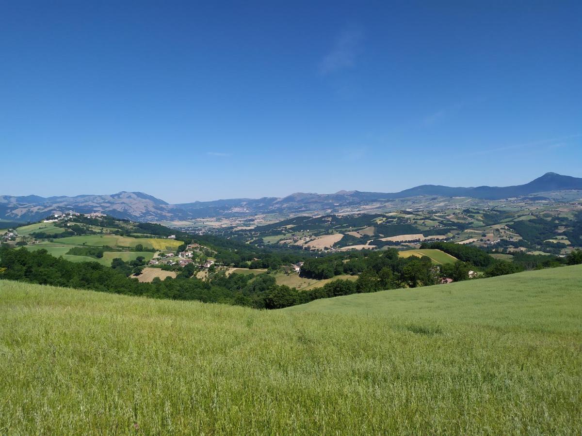 All Inbasilicata Bed & Breakfast Baragiano 외부 사진
